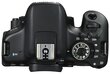 Canon EOS 750D Body цена и информация | Skaitmeniniai fotoaparatai | pigu.lt