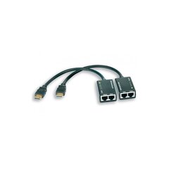 Techly 301153 цена и информация | Адаптеры, USB-разветвители | pigu.lt