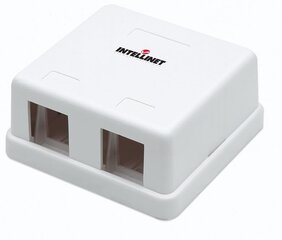 Intellinet Network Solutions 162852 kaina ir informacija | Adapteriai, USB šakotuvai | pigu.lt