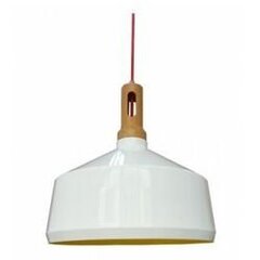 Подвесной светильник 5531-37695 цена и информация | Подвесной светильник | pigu.lt