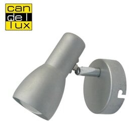 Настенный светильник Candellux 5591-43917 цена и информация | Candellux Светильники и оборудование для освещения | pigu.lt