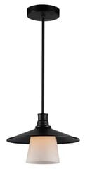 Подвесной светильник 5531-43108 цена и информация | Люстры | pigu.lt