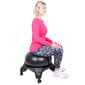 Kėdė su gimnastikos kamuoliu inSPORTline G-Chair Basic цена и информация | Gimnastikos kamuoliai | pigu.lt