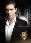 Tualetinis vanduo Antonio Banderas The Golden Secret EDT vyrams, 50 ml цена и информация | Kvepalai vyrams | pigu.lt