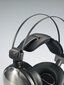 Audio Technica ATH-A2000Z kaina ir informacija | Ausinės | pigu.lt
