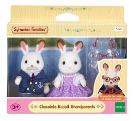 Figūrėlių rinkinys Sylvanian Families Triušių seneliai mažomis ausytėmis kaina ir informacija | Žaislai mergaitėms | pigu.lt