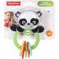 Barškutis Panda Fisher Price, CGR96 цена и информация | Žaislai kūdikiams | pigu.lt