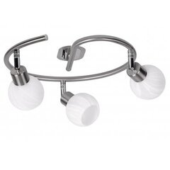 Настенный светильник Candellux Alabaster​ 5591-06998 цена и информация | Candellux Светильники и оборудование для освещения | pigu.lt