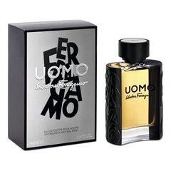 Мужская парфюмерия Sf Uomo Salvatore Ferragamo EDT: Емкость - 100 ml цена и информация | Мужские духи | pigu.lt