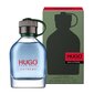 Kvapusis vanduo Hugo Boss Hugo Extreme EDP vyrams 60 ml цена и информация | Kvepalai vyrams | pigu.lt