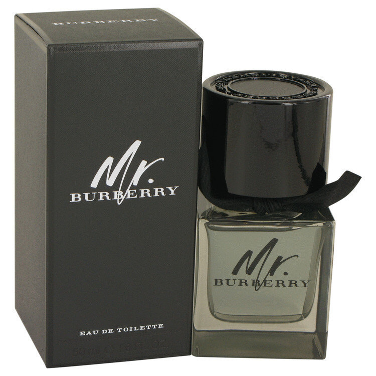 Tualetinis vanduo Burberry Mr. Burberry EDT vyrams 50 ml kaina ir informacija | Kvepalai vyrams | pigu.lt