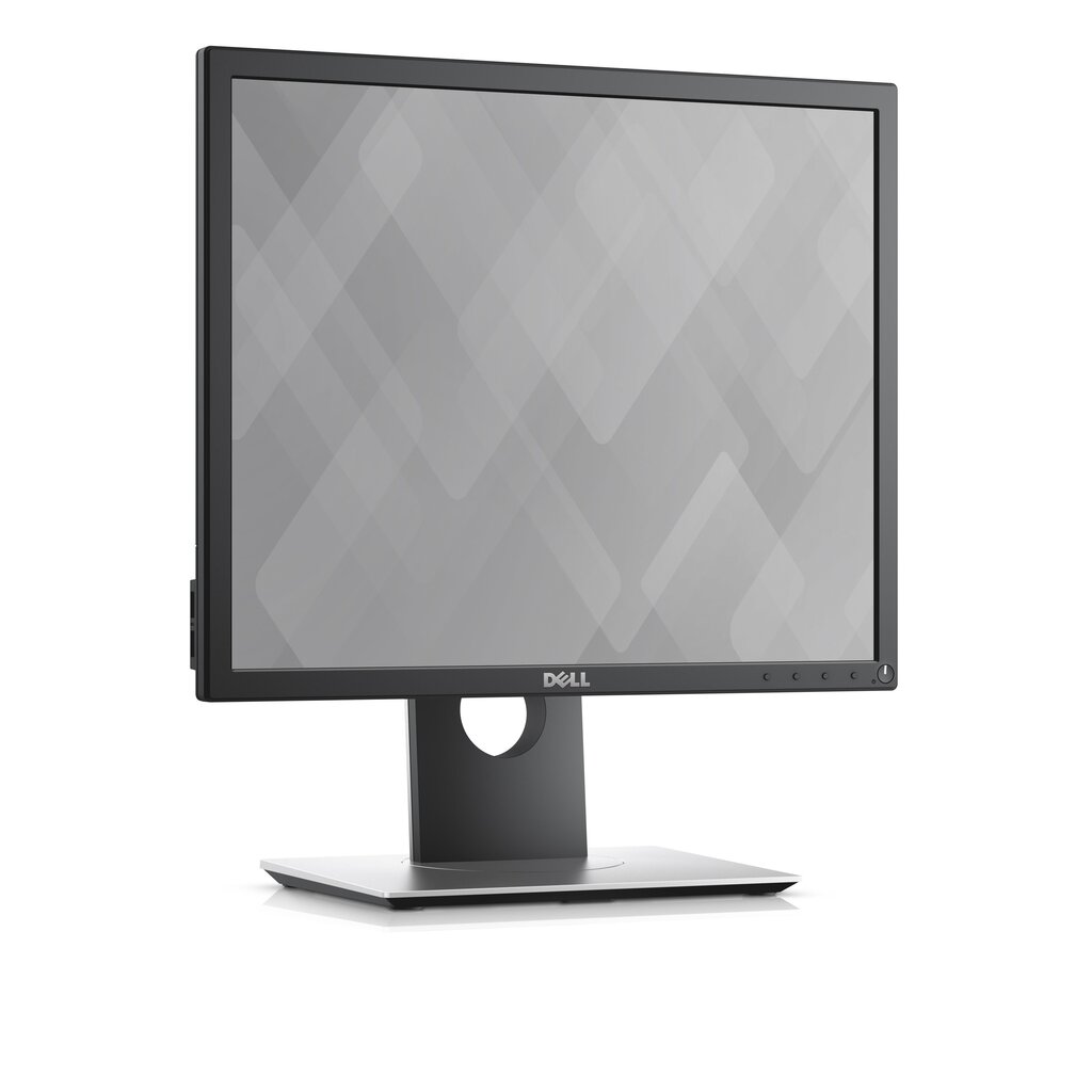 Dell P1917S цена и информация | Monitoriai | pigu.lt