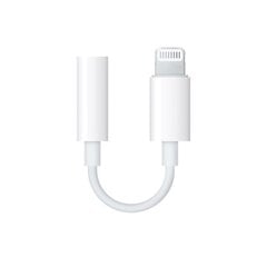 Переходник Apple Lightning к разъему MMX62ZM/A цена и информация | Адаптеры, USB-разветвители | pigu.lt