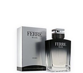 Аромат Gianfranco Ferre Ferre Black EDT, 30 мл цена и информация | Мужские духи | pigu.lt