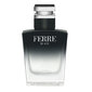 Tualetinis vanduo Gianfranco Ferre Ferre Black EDT vyrams, 30 ml цена и информация | Kvepalai vyrams | pigu.lt