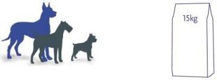 Fitmin Fitmin Maxi Senior - 15 kg kaina ir informacija | Sausas maistas šunims | pigu.lt