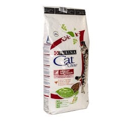 Purina Cat Chow Special Care Urinary Tract Health 15кг цена и информация | Сухой корм для кошек | pigu.lt