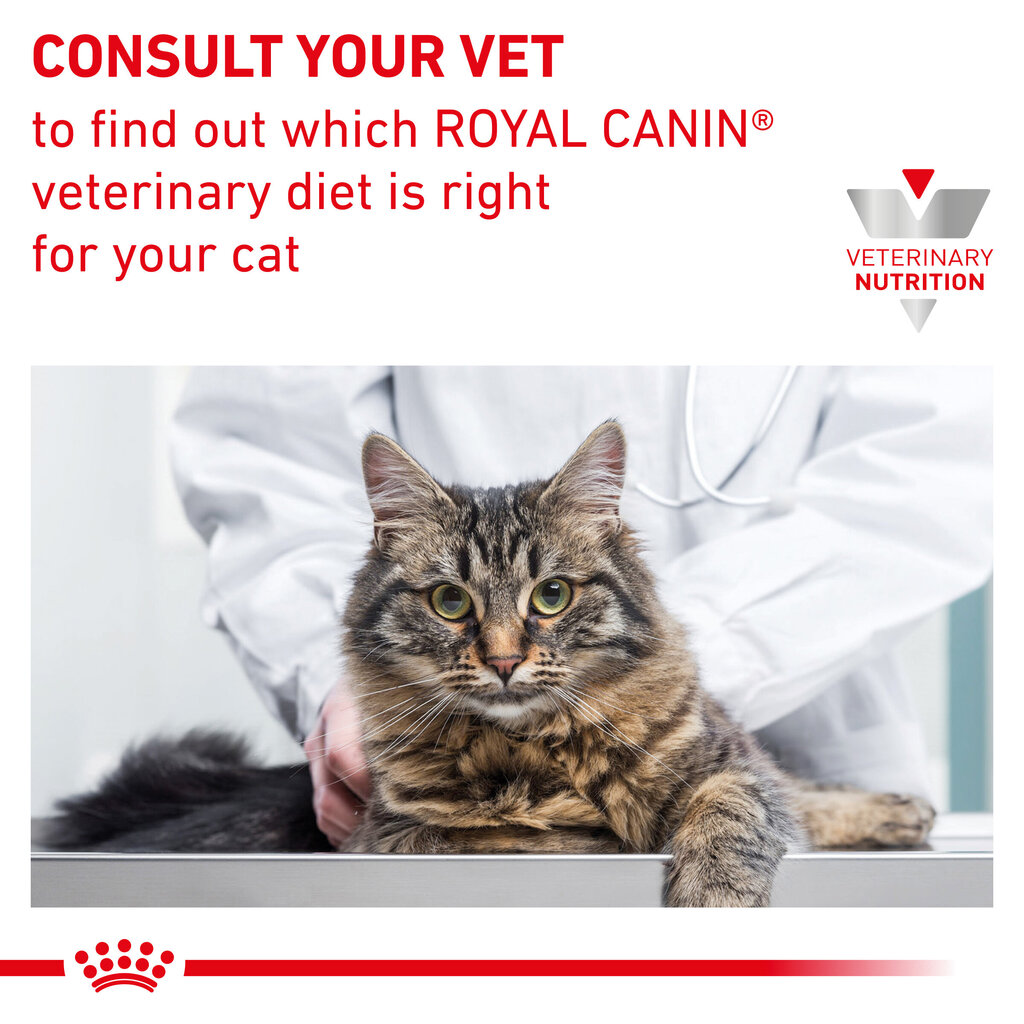 Royal Canin suaugusioms katėms jautrioms stresui Cat calm feline, 2 kg цена и информация | Sausas maistas katėms | pigu.lt