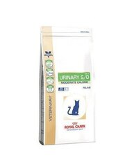 Royal Canin Veterinary Diet Feline Urinary S/O Moderate Calorie 3,5 кг цена и информация | Сухой корм для кошек | pigu.lt