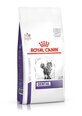 Royal Canin sveikiems dantims Cat dental, 1,5 kg