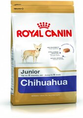 Royal Canin čihuahua veislės šunims Junior, 1,5 kg kaina ir informacija | Sausas maistas šunims | pigu.lt