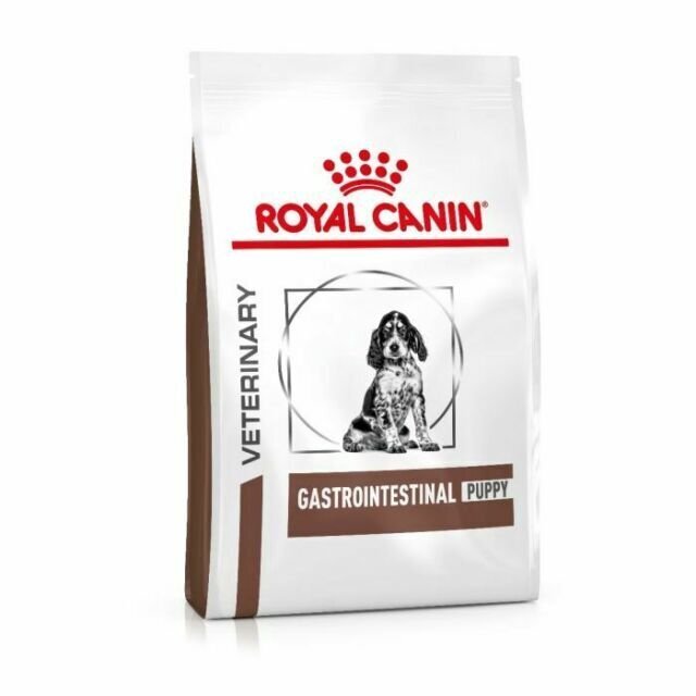 Royal Canin geresniam virškinimui Dog gastro intestinal junior, 2,5 kg kaina ir informacija | Sausas maistas šunims | pigu.lt