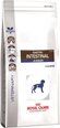 Royal Canin geresniam virškinimui Dog gastro intestinal junior, 10 kg