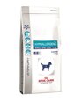 Royal Canin mažų veislių alergiškiems šunims Dog hypoallergenic small, 3,5 kg