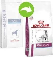 Royal Canin turintiems problemų su inkstais šunims Dog renal, 2 kg kaina ir informacija | Sausas maistas šunims | pigu.lt