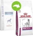 Royal Canin turintiems problemų su inkstais šunims Dog renal, 2 kg