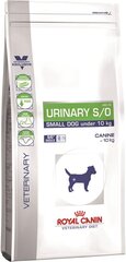 Royal Canin turintiems inkstų problemų mažų veislių šunims Dog urinary small, 4 kg kaina ir informacija | Sausas maistas šunims | pigu.lt