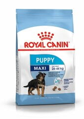 Royal Canin imuniteto stiprinimui Maxi junior, 1 kg kaina ir informacija | Sausas maistas šunims | pigu.lt