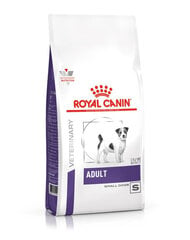 Корм для собак с проблемами гигиены полости рта и чувствительной пищеварительной системой Royal Canin Adult Small Dog, 8 кг цена и информация | Сухой корм для собак | pigu.lt