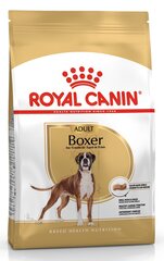 Royal Canin для боксеров Boxer,12 кг цена и информация | Сухой корм для собак | pigu.lt