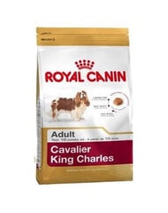 Royal Canin корм для собак породы Cavalier king charles Adult,1,5 кг цена и информация | Сухой корм для собак | pigu.lt