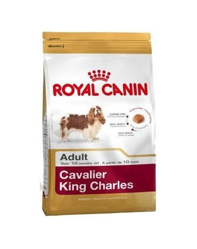 Royal Canin Cavalier king charles veislės šunims Adult, 1,5 kg kaina ir informacija | Sausas maistas šunims | pigu.lt