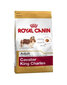 Royal Canin Cavalier king charles veislės šunims Adult, 1,5 kg kaina ir informacija | Sausas maistas šunims | pigu.lt