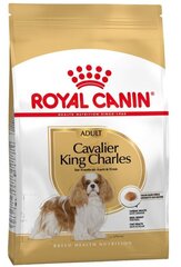 Royal Canin Cavalier king charles veislės šunims Adult, 1,5 kg kaina ir informacija | Sausas maistas šunims | pigu.lt