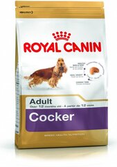 Royal Canin kokerspanieliams Cocker Adult, 12 kg kaina ir informacija | Sausas maistas šunims | pigu.lt