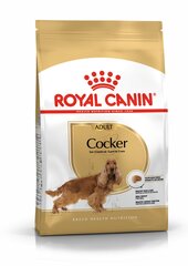 ROYAL CANIN взрослые кокер-спаниели Cocker adult, 3 kg цена и информация | Сухой корм для собак | pigu.lt