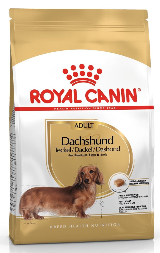 Royal Canin taksų veislės šunims Adult, 1,5 kg цена и информация | Sausas maistas šunims | pigu.lt