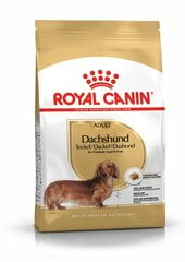 ROYAL CANIN suaugusiems taksų veislės šunims Dachshund adult, 7.5 kg kaina ir informacija | Royal Canin Gyvūnų prekės | pigu.lt