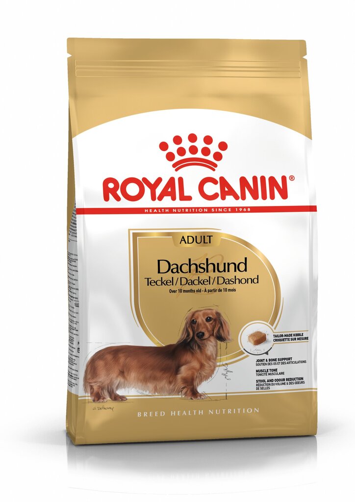 ROYAL CANIN suaugusiems taksų veislės šunims Dachshund adult, 7.5 kg kaina ir informacija | Sausas maistas šunims | pigu.lt