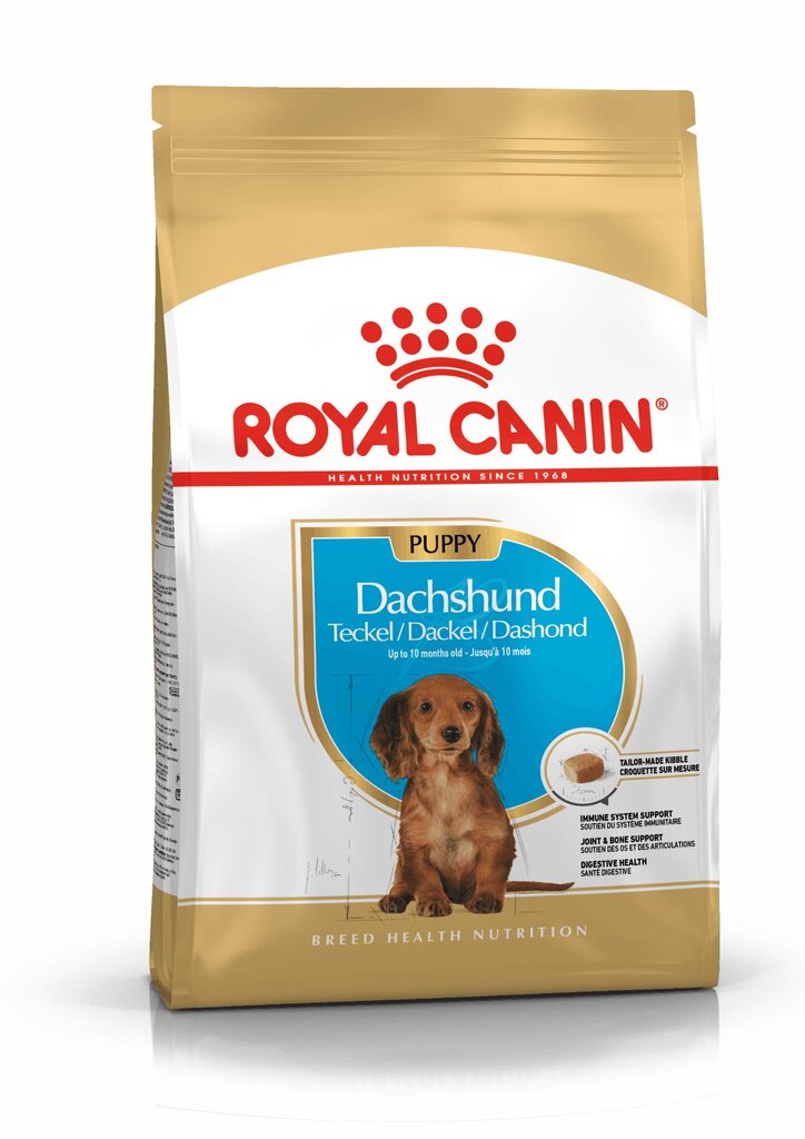 Royal Canin taksų veislės šunims Junior, 1,5 kg kaina ir informacija | Sausas maistas šunims | pigu.lt