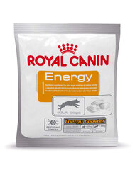 Royal Canin užkandis suaugusiems aktyviems šunims Energy, 50 g kaina ir informacija | Skanėstai šunims | pigu.lt