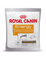 Royal Canin užkandis suaugusiems aktyviems šunims Energy, 50 g цена и информация | Skanėstai šunims | pigu.lt