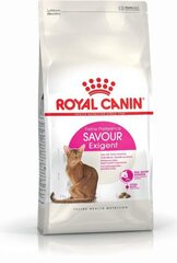 Royal Canin išrankioms katėms Exigent Savour, 0,4 kg kaina ir informacija | Sausas maistas katėms | pigu.lt