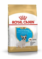 Royal Canin для собак породы французский бульдог Junior, 3 кг цена и информация | Сухой корм для собак | pigu.lt