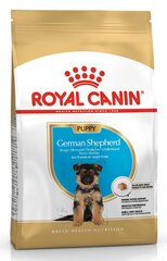 Royal Canin для щенков немецких овчарок German Shepherd junior, 12 кг цена и информация | Сухой корм для собак | pigu.lt