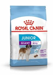 Royal Canin для крупных племенных щенков Giant Junior, 15 kg цена и информация | Сухой корм для собак | pigu.lt